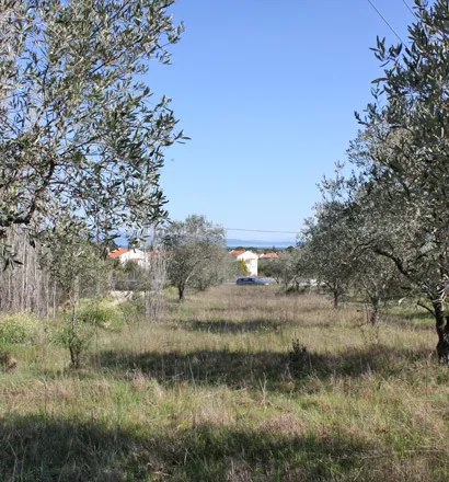 οικόπεδο προς πώληση 17643 τ.μ Σιθωνία Χαλκιδική