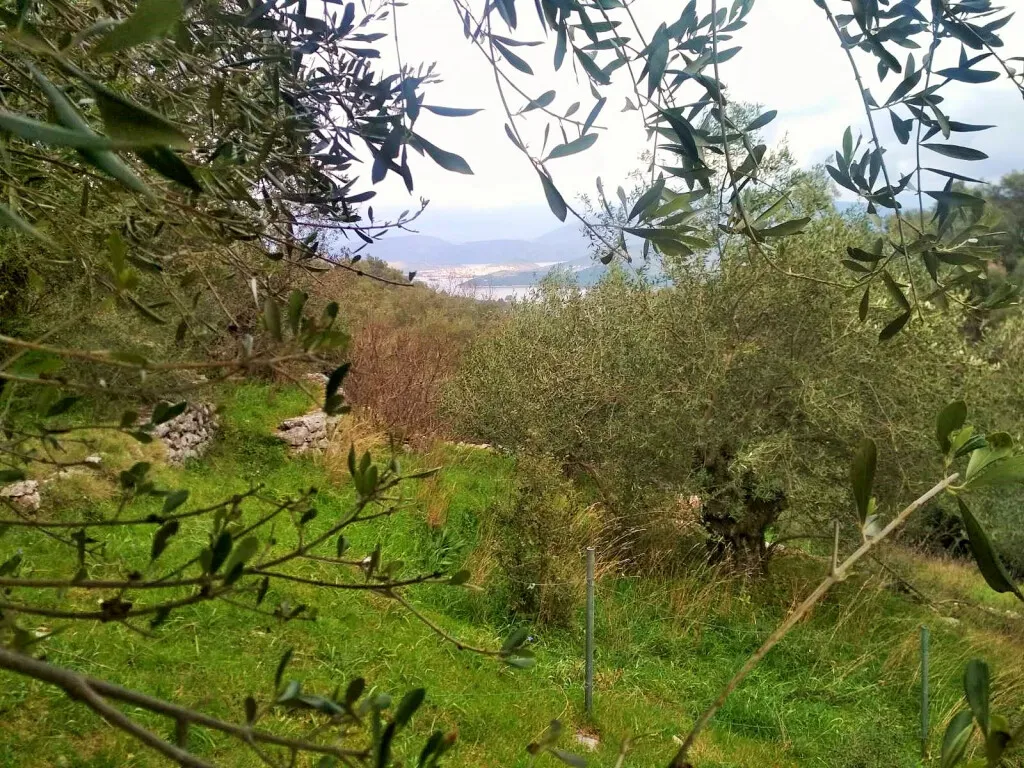 οικόπεδο προς πώληση 4363 τ.μ Κέρκυρα Νομός Κέρκυρας