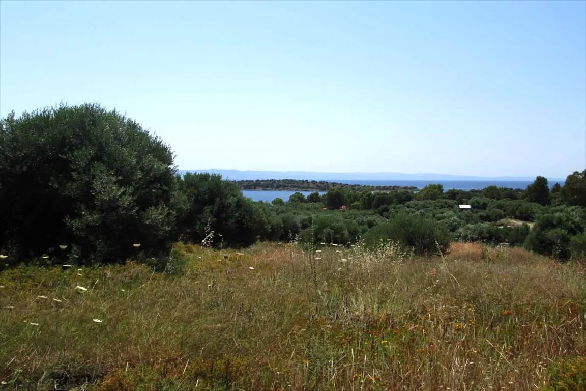 οικόπεδο προς πώληση 7125 τ.μ Σιθωνία Χαλκιδική
