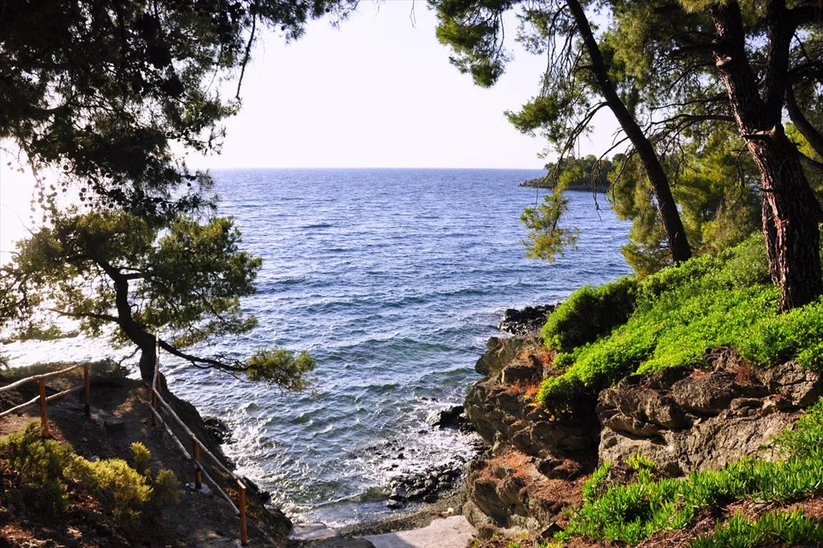 οικόπεδο προς πώληση 3800 τ.μ Σιθωνία Χαλκιδική