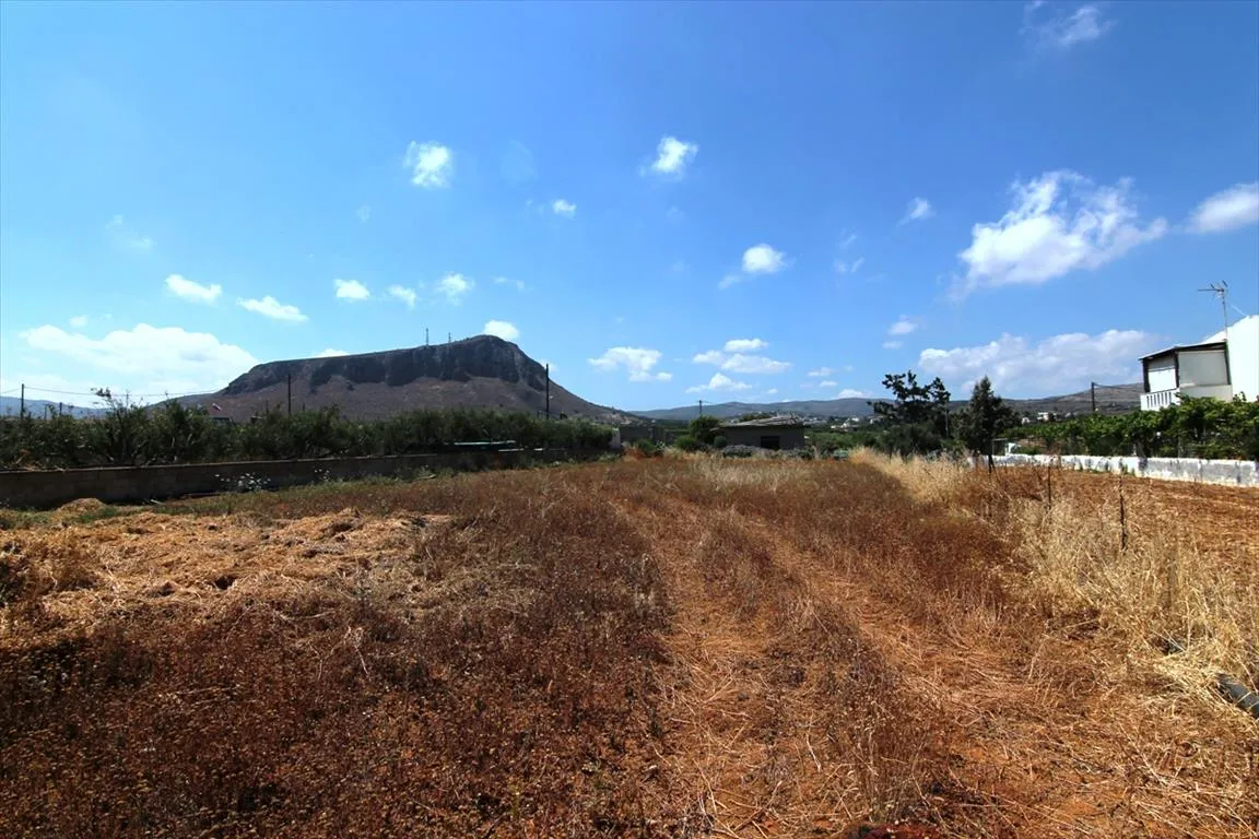 οικόπεδο προς πώληση 2600 τ.μ  Νομός Ηρακλείου