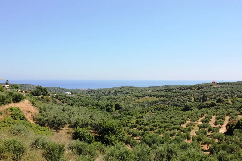 οικόπεδο προς πώληση 3500 τ.μ Πλατανιάς Νομός Χανίων