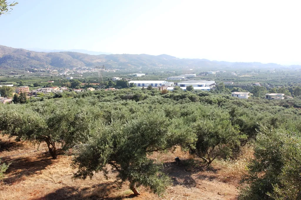 οικόπεδο προς πώληση 8100 τ.μ  Νομός Χανίων
