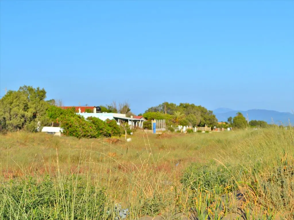 οικόπεδο προς πώληση 1300 τ.μ Δυτικής Αχαΐας Αχαΐα