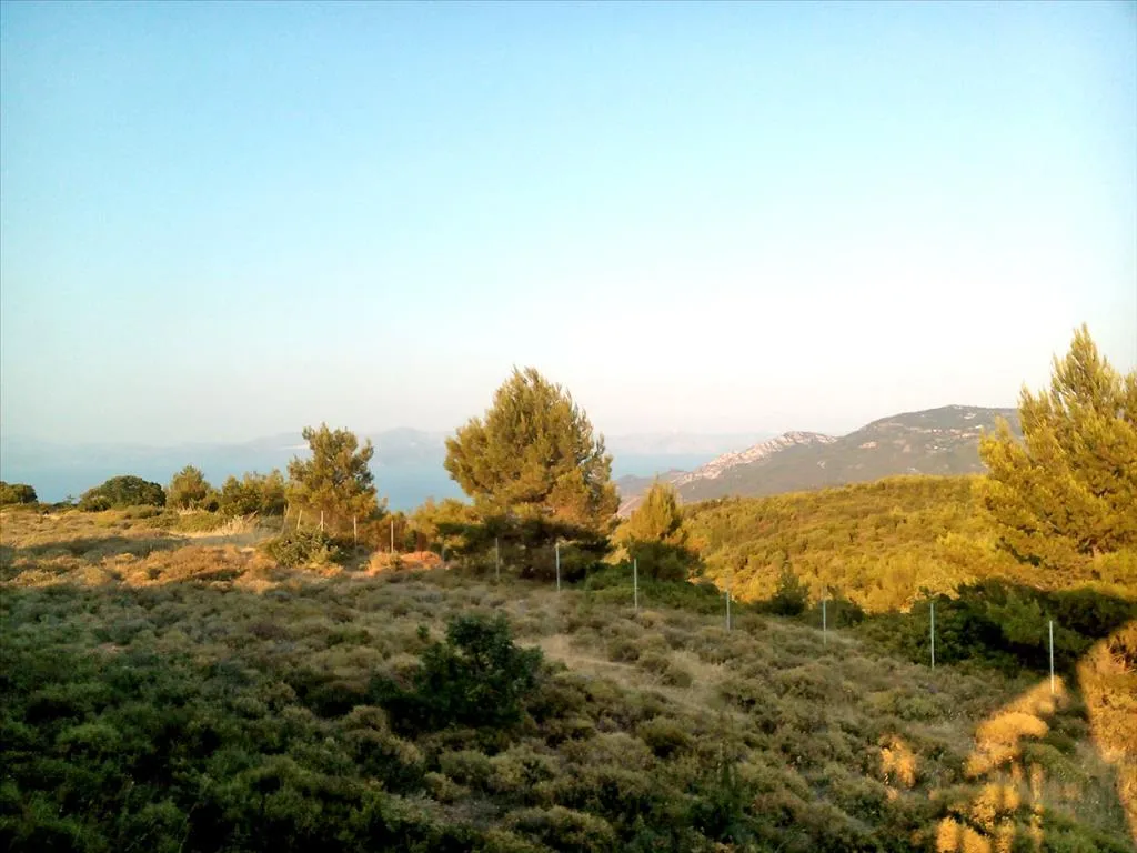 οικόπεδο προς πώληση 7300 τ.μ Κάλαμος Υπόλοιπη Αττικής