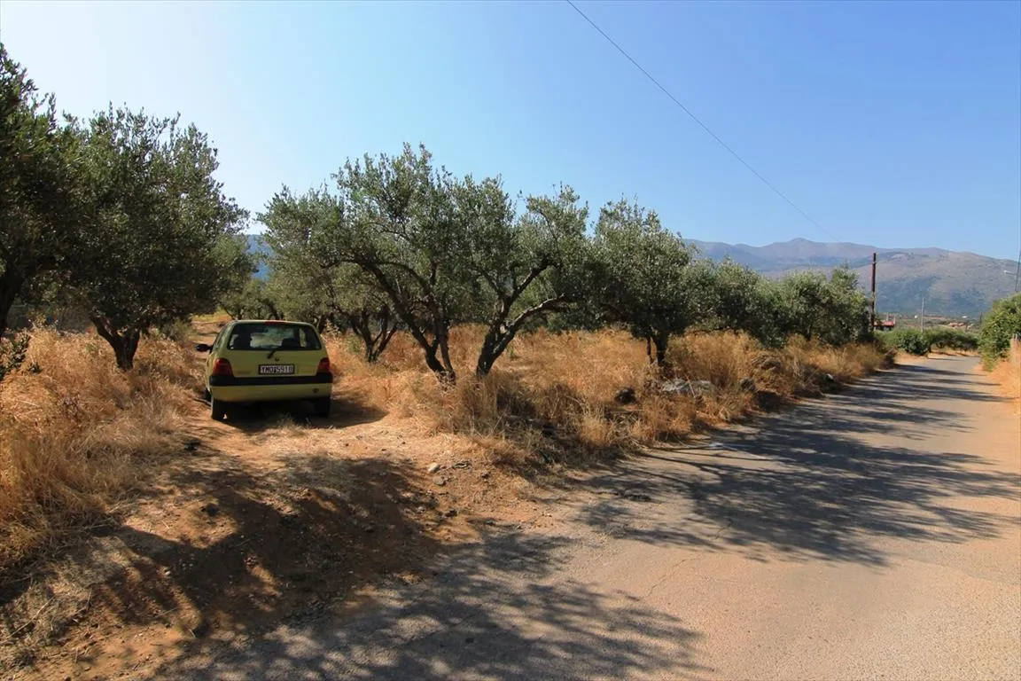 οικόπεδο προς πώληση 1500 τ.μ Βραχάσι Νομός Λασιθίου