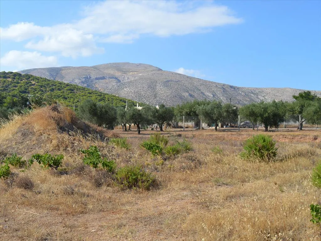 οικόπεδο προς πώληση 2052 τ.μ Ανάβυσσος Υπόλοιπη Αττικής