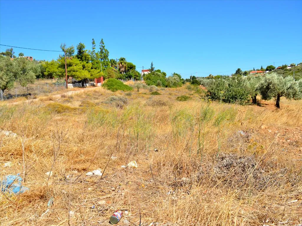 οικόπεδο προς πώληση 4700 τ.μ Κερατέα Υπόλοιπη Αττικής