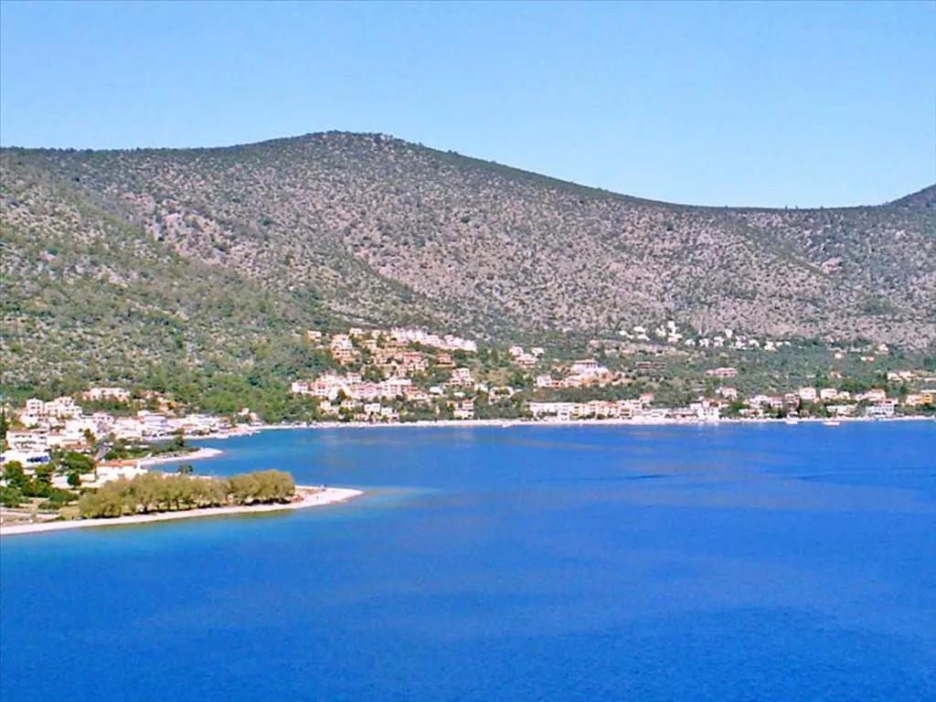 οικόπεδο προς πώληση 2000 τ.μ Σολυγεία Κορινθία