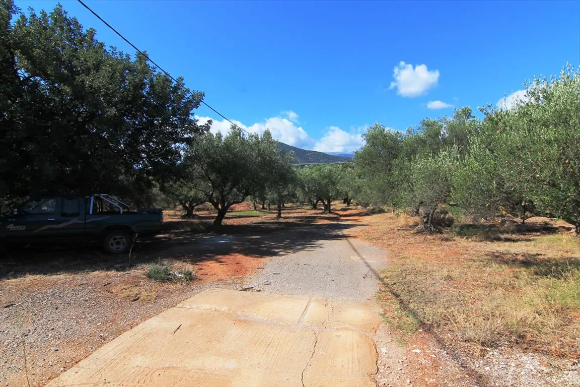 οικόπεδο προς πώληση 7800 τ.μ Άγιος Νικόλαος Νομός Λασιθίου