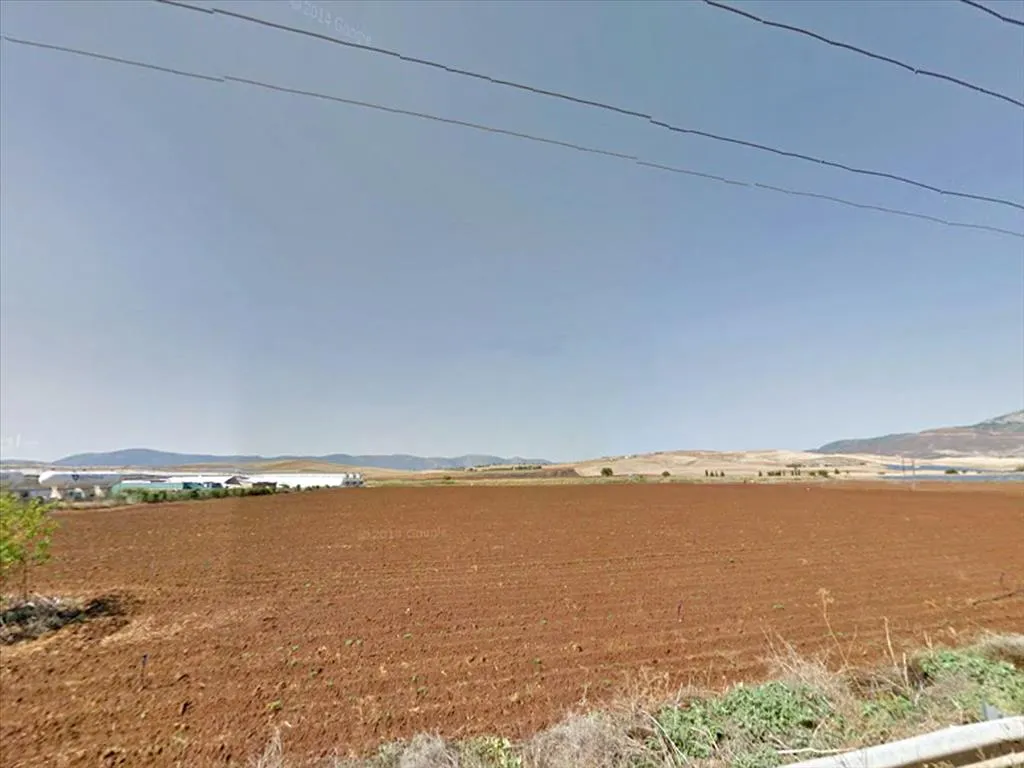 οικόπεδο προς πώληση 13000 τ.μ Θήβα Βοιωτία