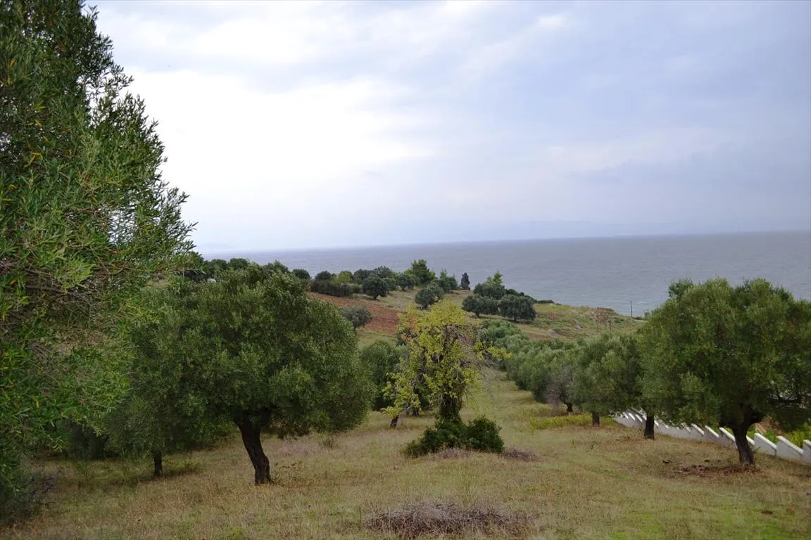 οικόπεδο προς πώληση 8404 τ.μ Κασσάνδρα Χαλκιδική