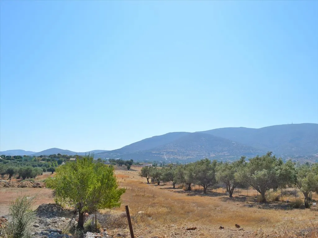 οικόπεδο προς πώληση 5300 τ.μ Καλύβια Θορικού Υπόλοιπη Αττικής