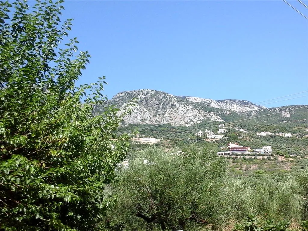 οικόπεδο προς πώληση 3510 τ.μ Καλαμάτα Μεσσηνία