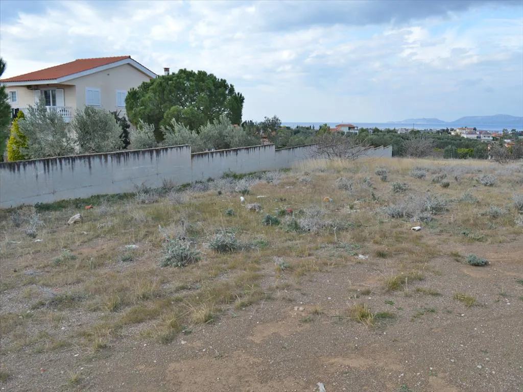 οικόπεδο προς πώληση 4700 τ.μ Κόρινθος Κορινθία
