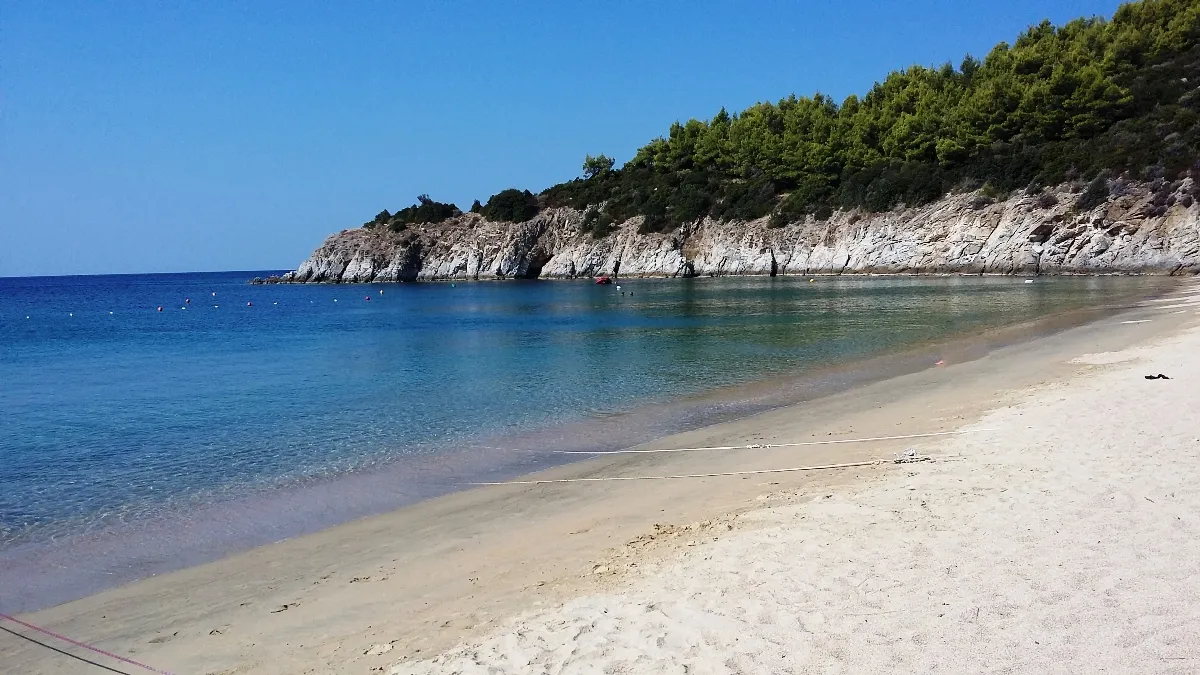 οικόπεδο προς πώληση 5751 τ.μ Σιθωνία Χαλκιδική