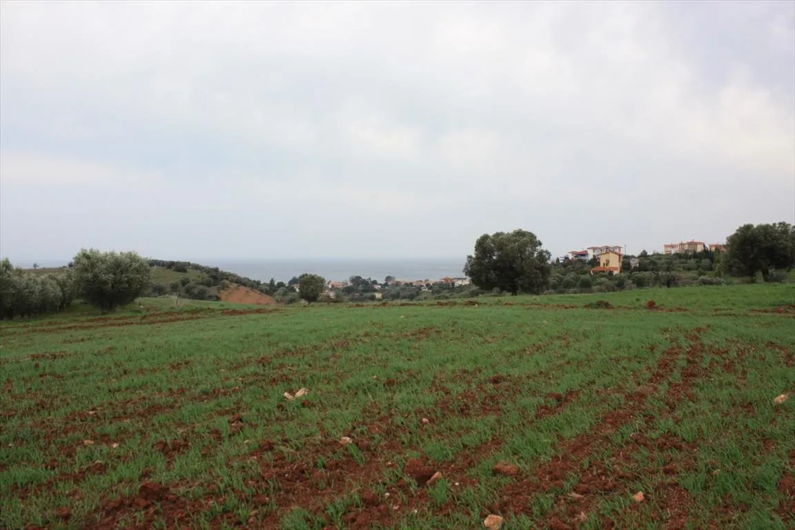 οικόπεδο προς πώληση 3900 τ.μ Σιθωνία Χαλκιδική