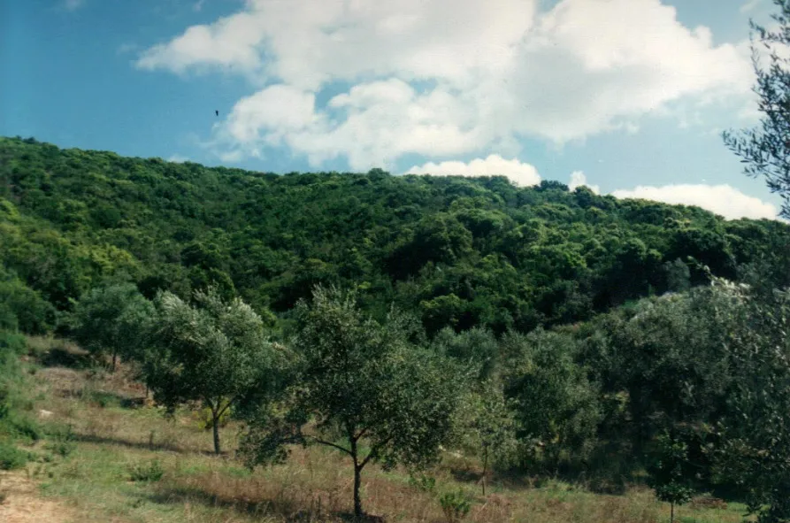 οικόπεδο προς πώληση 68000 τ.μ Κέρκυρα Νομός Κέρκυρας