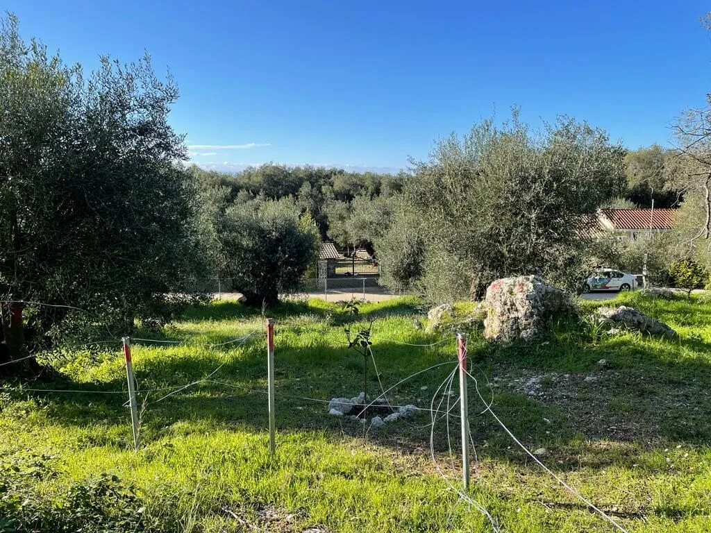 οικόπεδο προς πώληση 4500 τ.μ Κέρκυρα Νομός Κέρκυρας