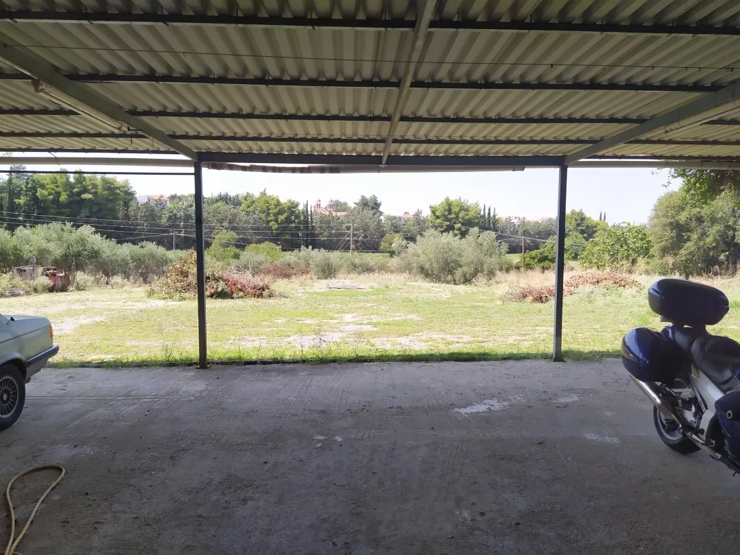 1067