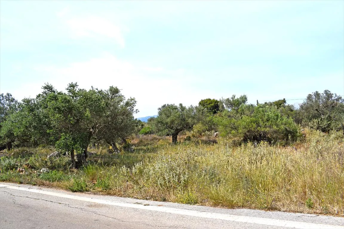 οικόπεδο προς πώληση 1673 τ.μ Βάμος Νομός Χανίων