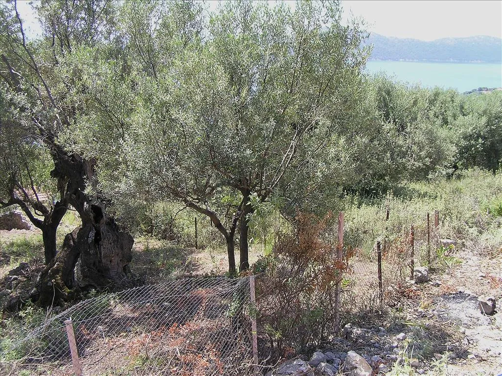 οικόπεδο προς πώληση 1010 τ.μ Κάλαμος Υπόλοιπη Αττικής