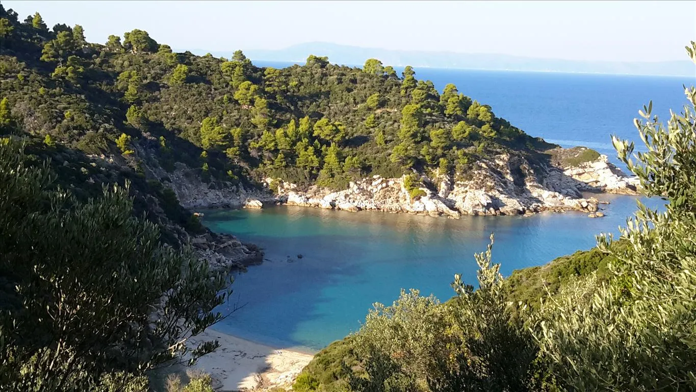 οικόπεδο προς πώληση 12000 τ.μ Σιθωνία Χαλκιδική