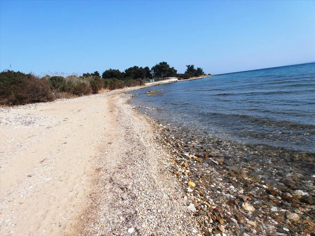 οικόπεδο προς πώληση 5360 τ.μ Σιθωνία Χαλκιδική