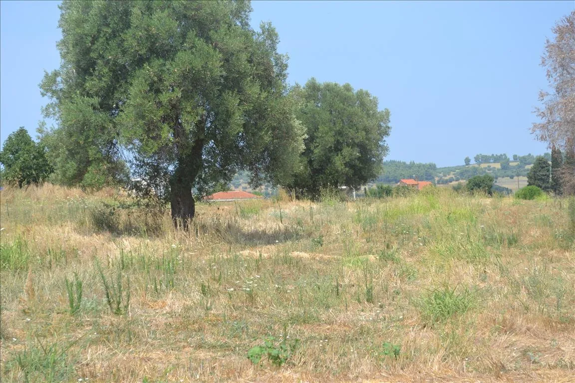 οικόπεδο προς πώληση 15500 τ.μ Κασσάνδρα Χαλκιδική