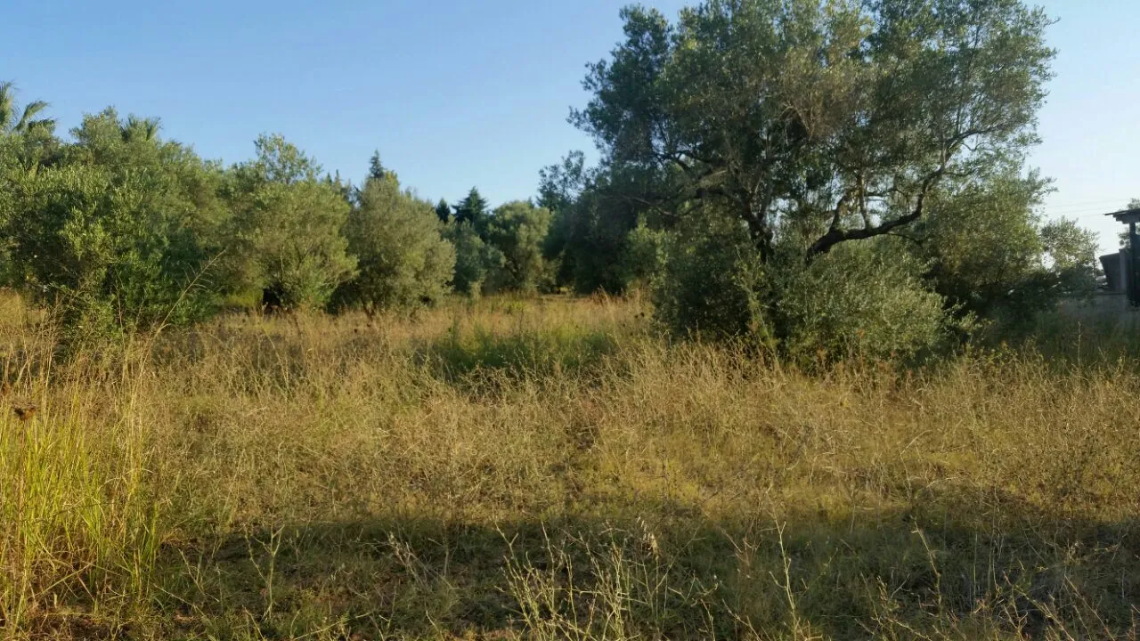 οικόπεδο προς πώληση 4250 τ.μ Κασσάνδρα Χαλκιδική