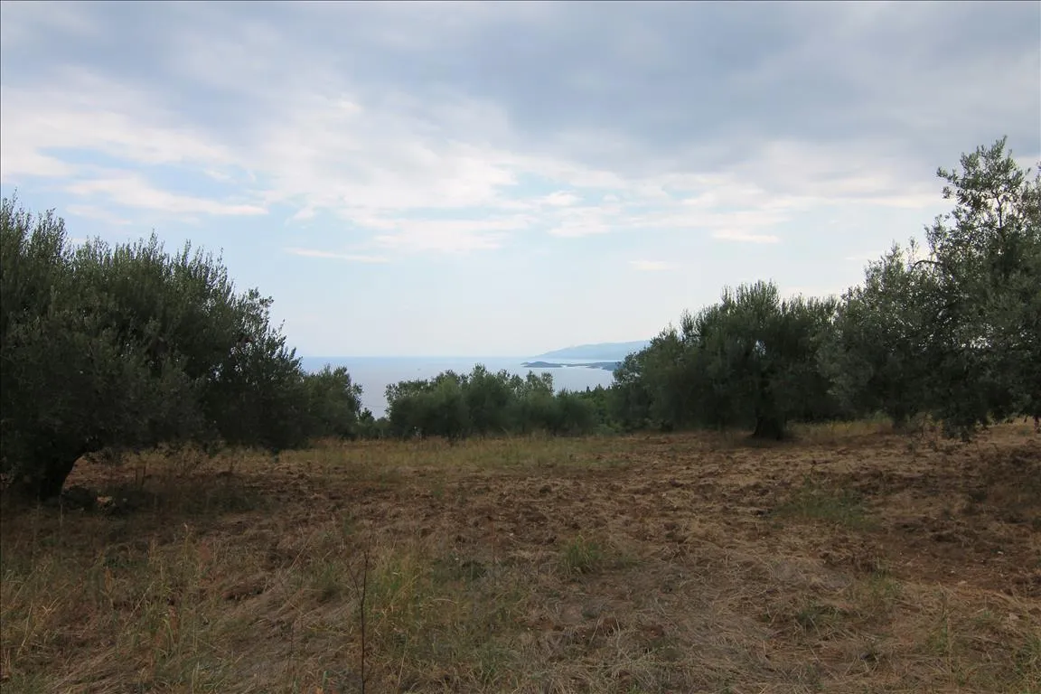 οικόπεδο προς πώληση 4600 τ.μ Σιθωνία Χαλκιδική