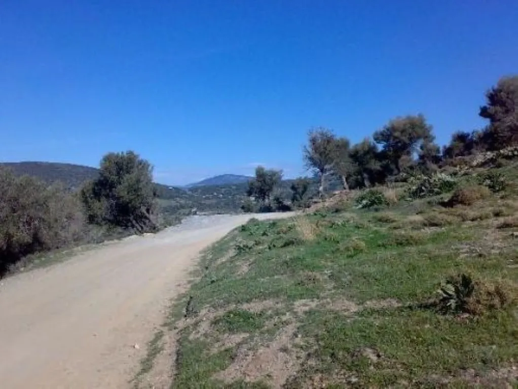 οικόπεδο προς πώληση 116000 τ.μ Κάρυστος Εύβοια