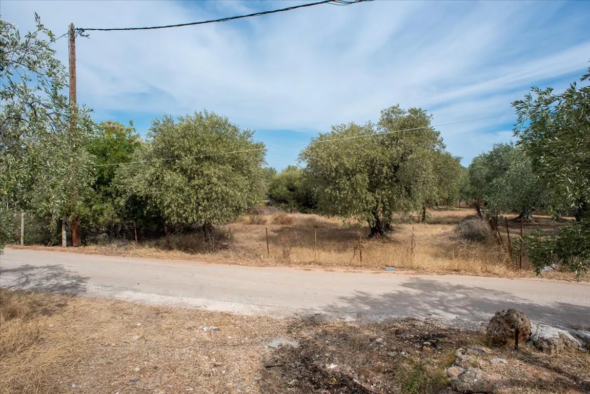 οικόπεδο προς πώληση 776 τ.μ Θάσος Νομός Καβάλας