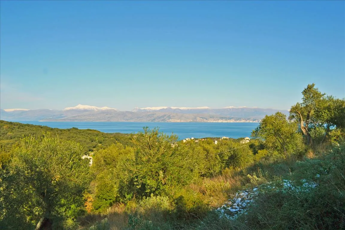 οικόπεδο προς πώληση 7000 τ.μ Κέρκυρα Νομός Κέρκυρας