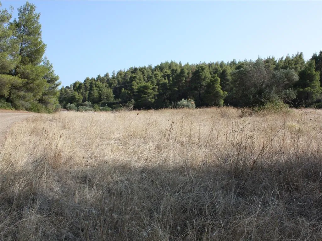 οικόπεδο προς πώληση 4960 τ.μ Σιθωνία Χαλκιδική