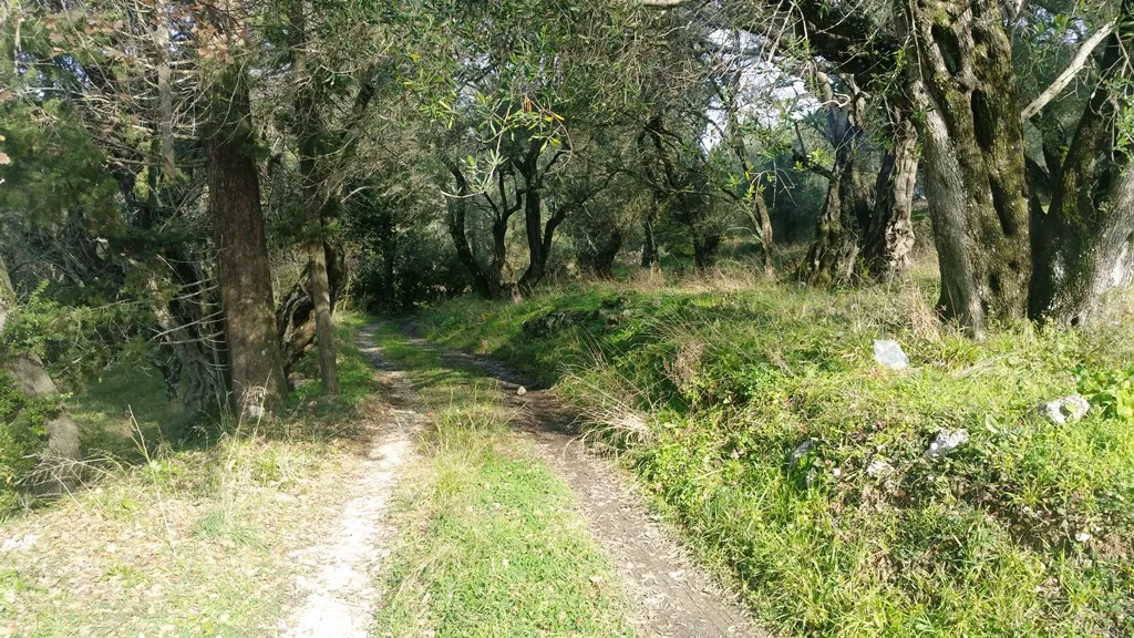 οικόπεδο προς πώληση 3315 τ.μ Κέρκυρα Νομός Κέρκυρας