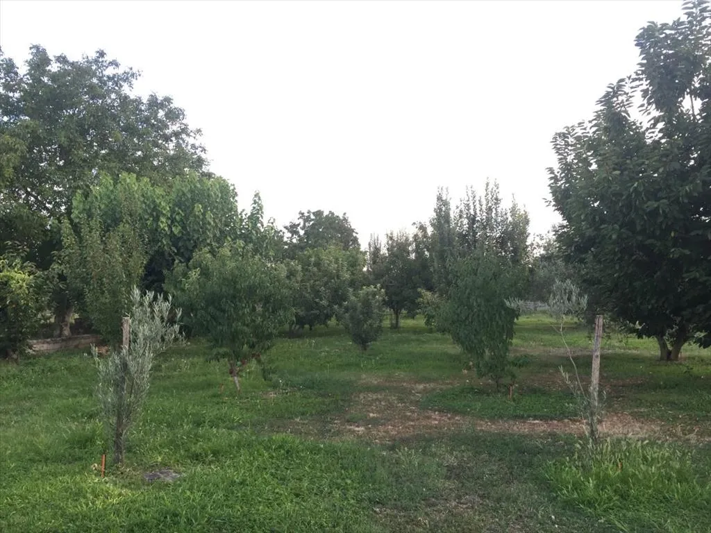 1024