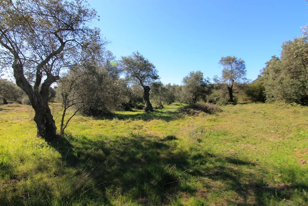 1024