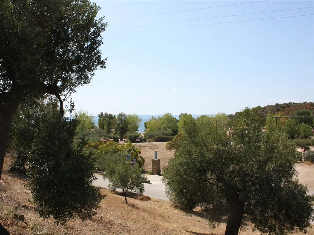 οικόπεδο προς πώληση 2654 τ.μ Σιθωνία Χαλκιδική