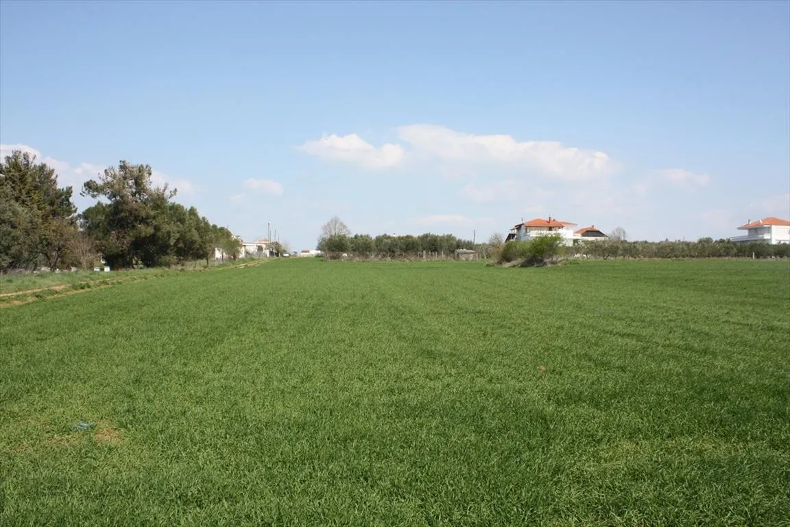 οικόπεδο προς πώληση 8000 τ.μ Μηχανιώνα Προάστια Θεσσαλονίκης