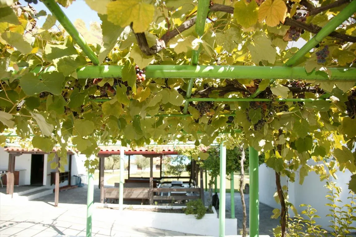 1152
