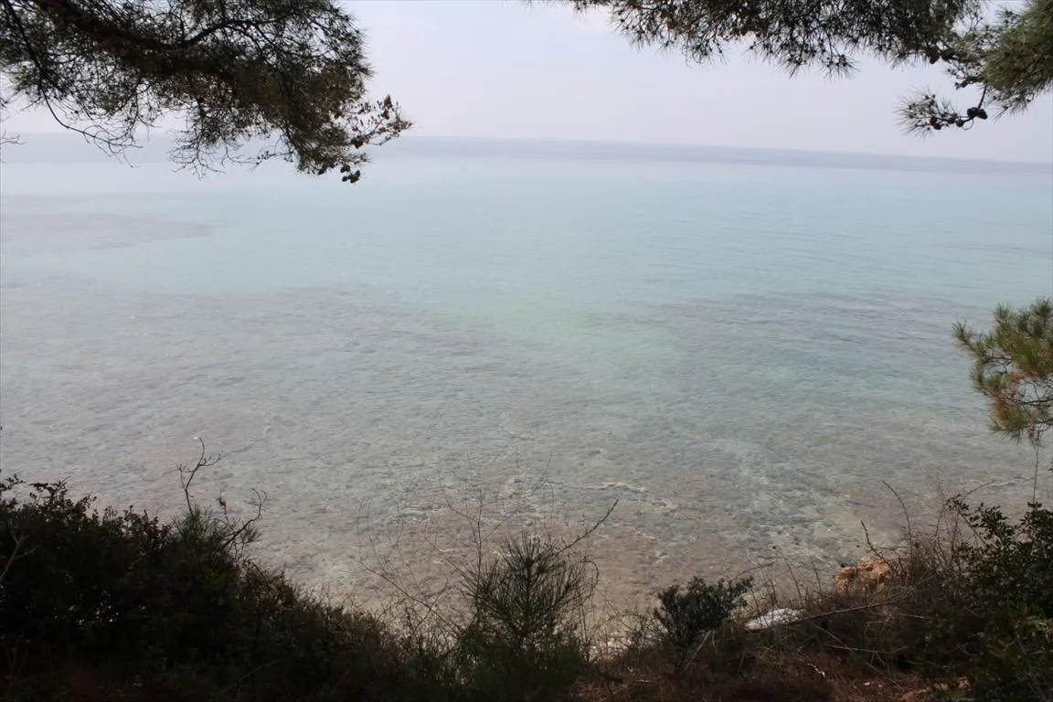 οικόπεδο προς πώληση 4000 τ.μ Νέα Προποντίδα Χαλκιδική