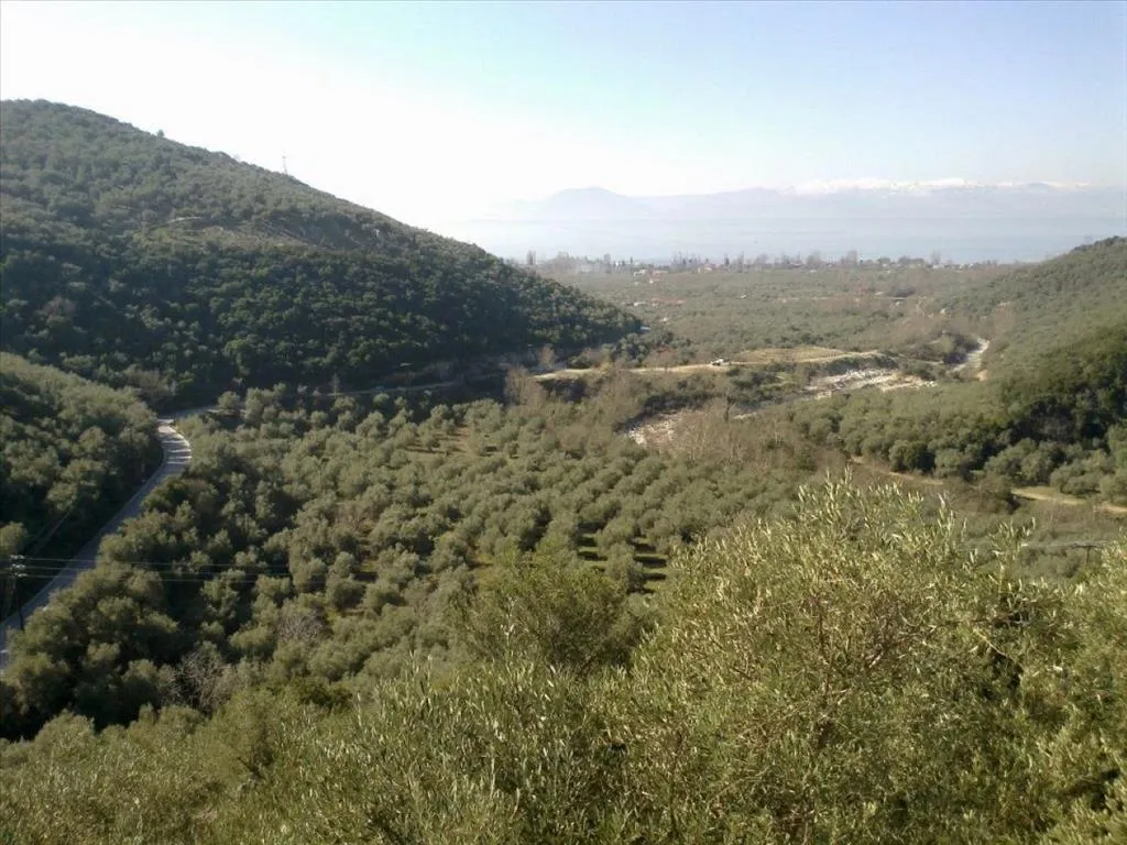 οικόπεδο προς πώληση 51000 τ.μ Βόλος Μαγνησία