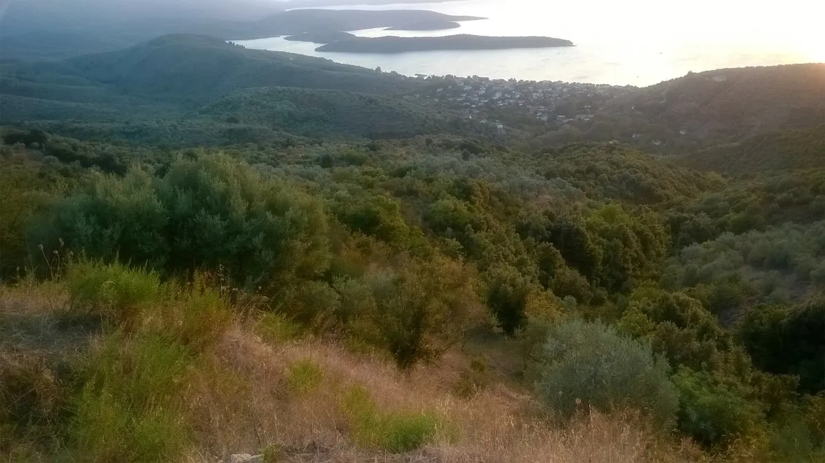 οικόπεδο προς πώληση 4900 τ.μ  Μαγνησία
