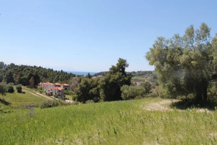 οικόπεδο προς πώληση 20100 τ.μ Κασσάνδρα Χαλκιδική