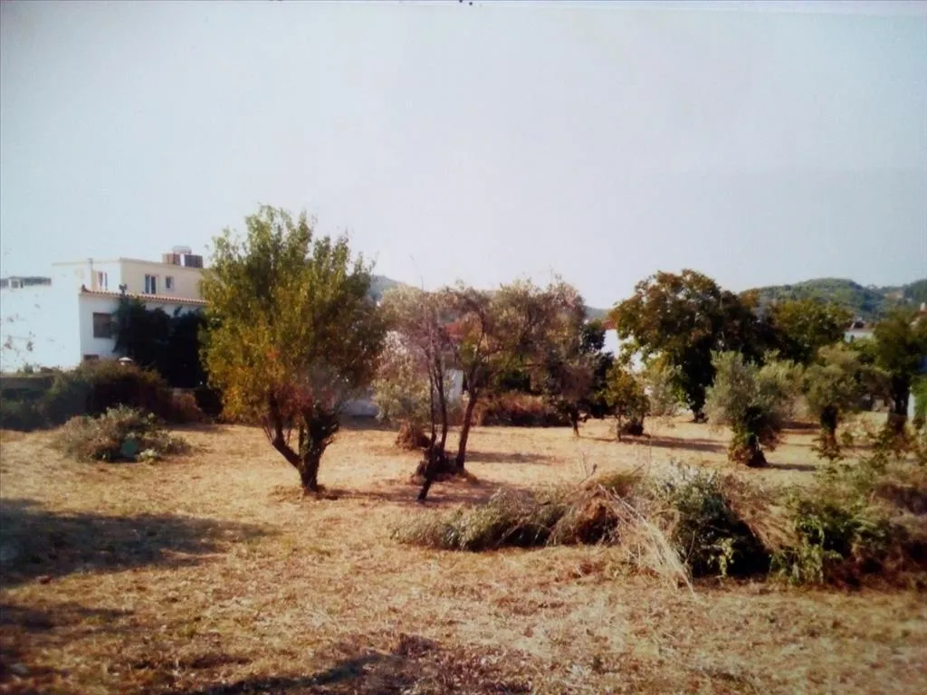 οικόπεδο προς πώληση 3500 τ.μ  Σποράδες