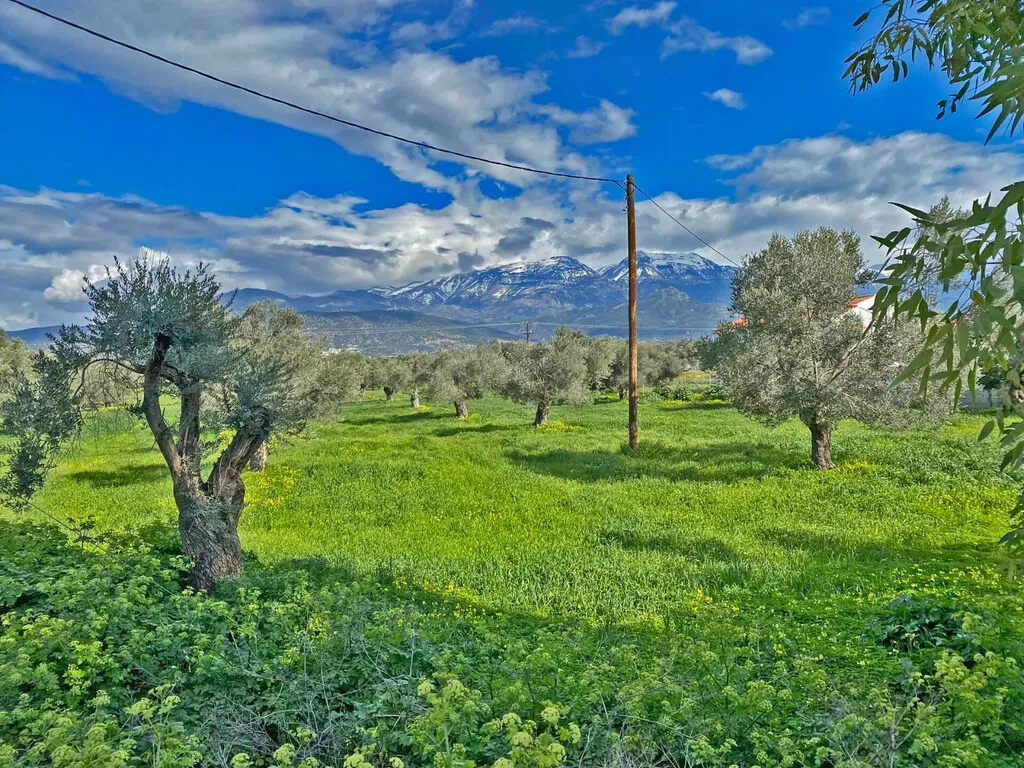 οικόπεδο προς πώληση 14000 τ.μ Τυμπάκι Νομός Ηρακλείου