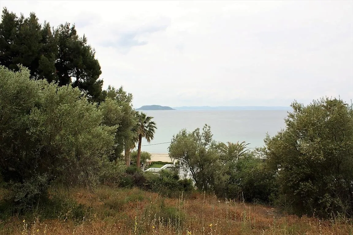 οικόπεδο προς πώληση 6000 τ.μ Σιθωνία Χαλκιδική