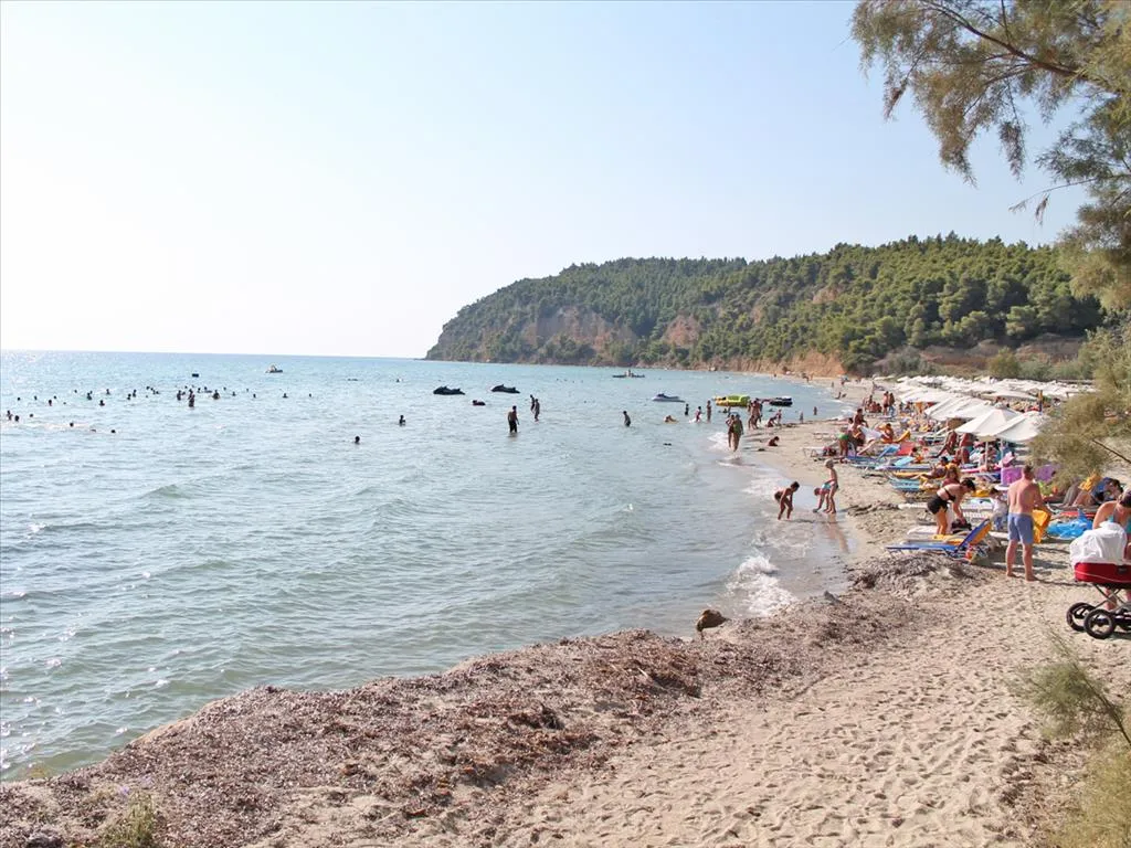 οικόπεδο προς πώληση 4000 τ.μ Κασσάνδρα Χαλκιδική