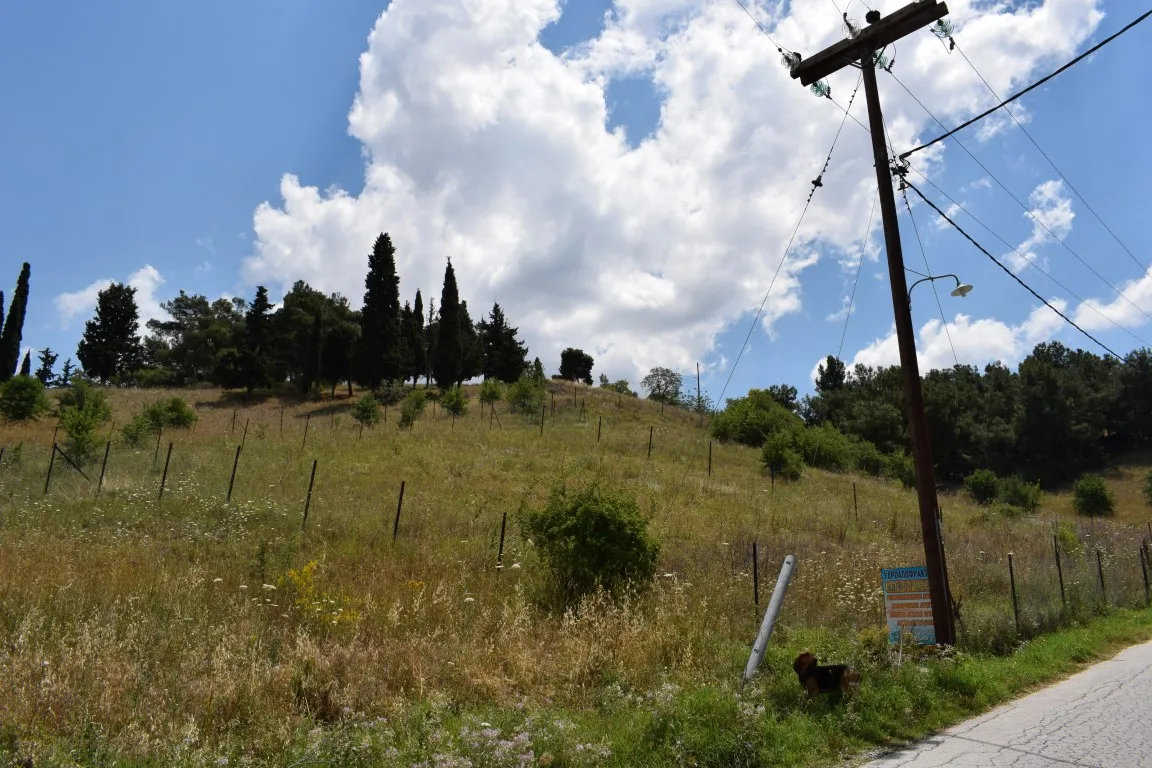 οικόπεδο προς πώληση 596 τ.μ Βασιλικά Προάστια Θεσσαλονίκης